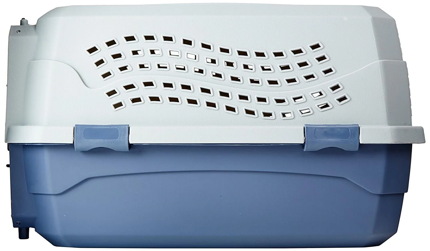 A person demonstrating the top-loading method with a cat.