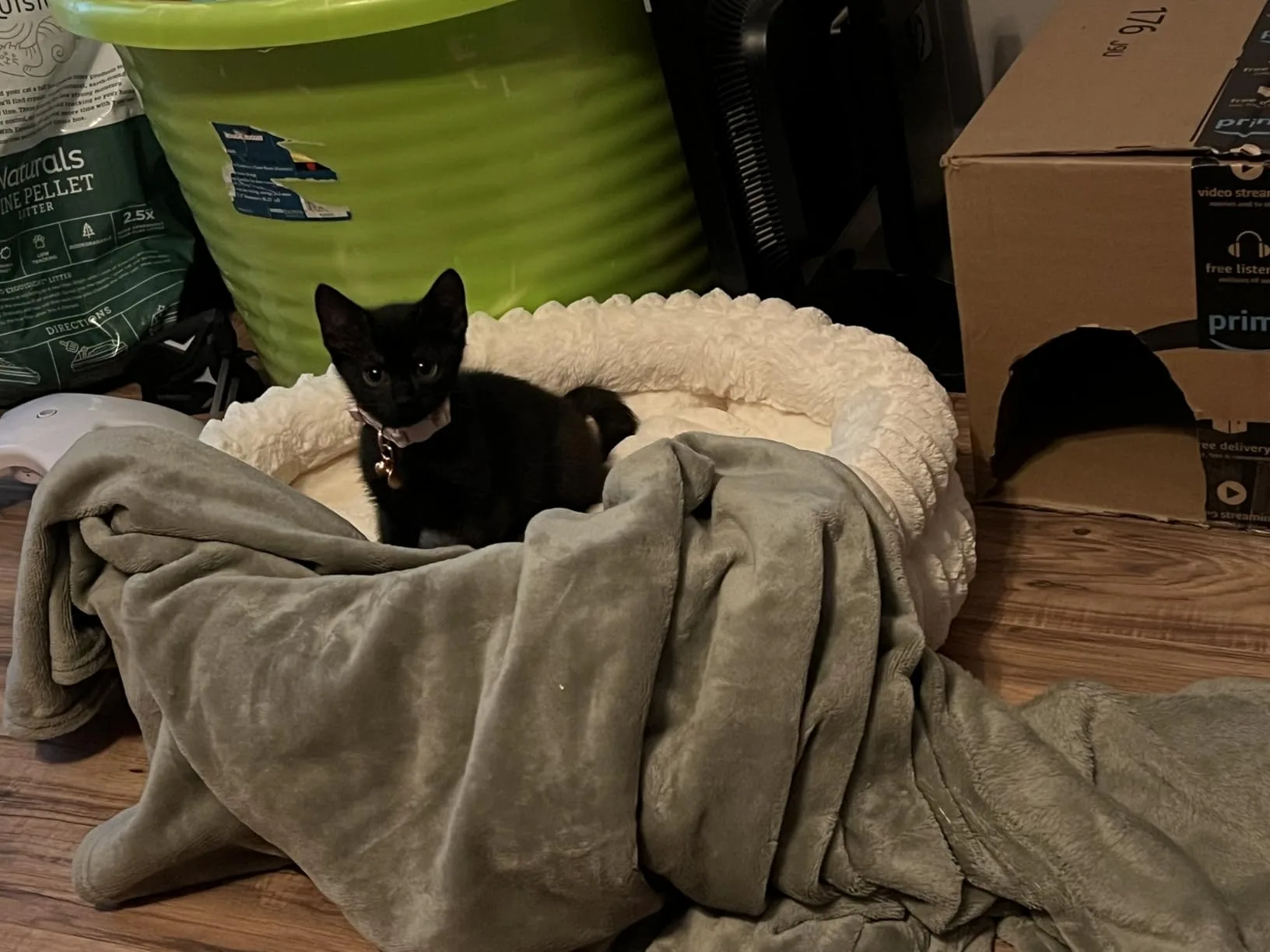 The underside of the bed showing the pattern of silicone anti-slip dots