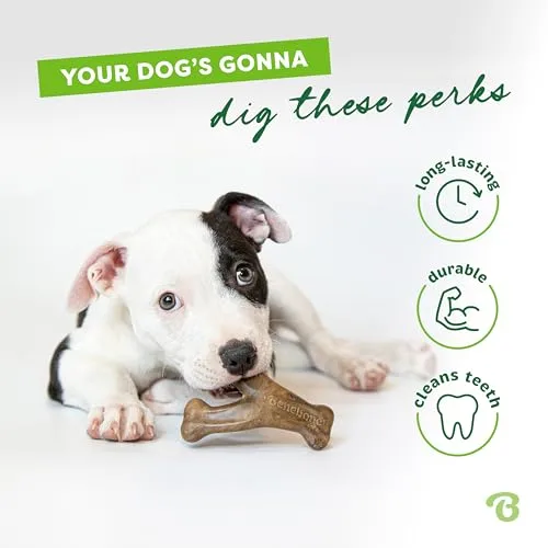 Texture detail showing microscopic ridges