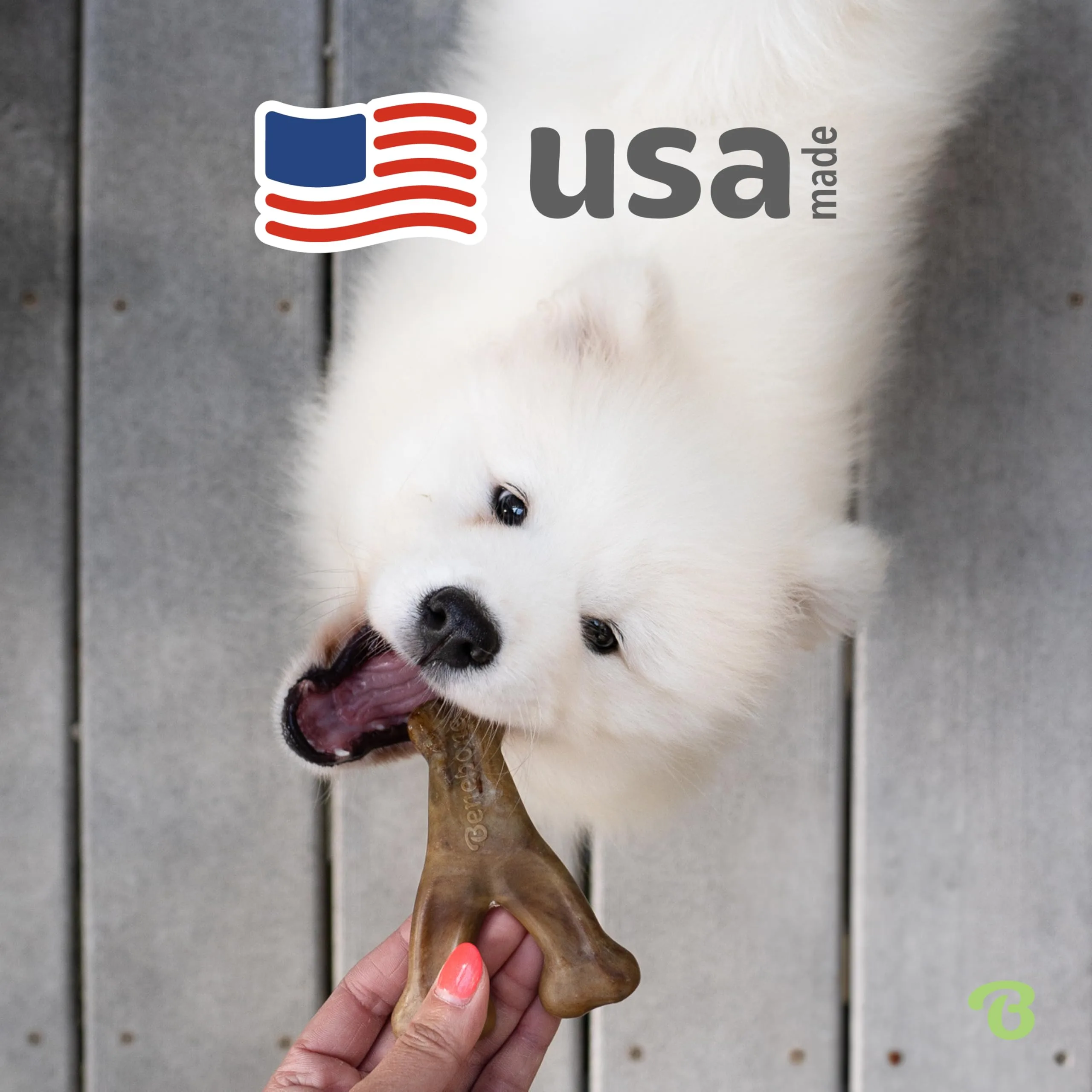 Size comparison with dog breeds