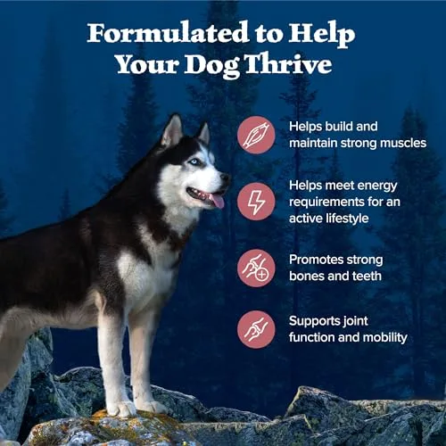 Blue Buffalo Wilderness Natural High-Protein Dry Food for Adult Dogs, Salmon Recipe, 13-lb. Bag