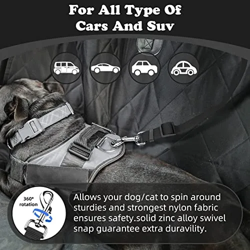 BWOGUE leash converted to handheld mode