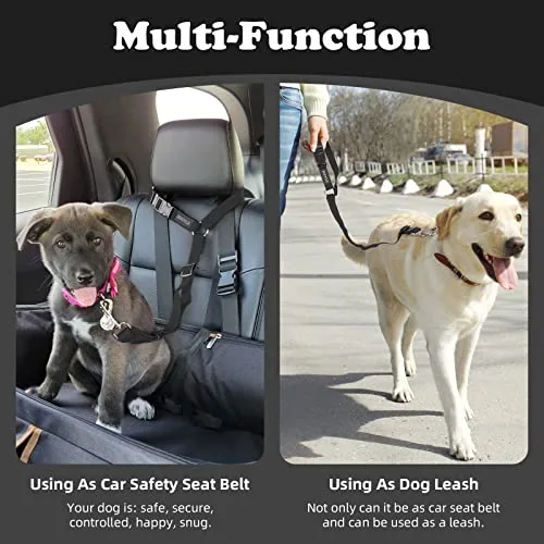 Lifestyle image of dog secured in car