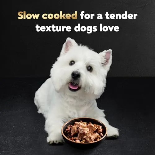 Cesar Loaf in Sauce Wet Dog Food Rotisserie Chicken, Filet Mignon, Angus Beef, and Ham & Egg Flavors Variety Pack, 3.5 oz. Easy Peel Trays (24 Count, Pack of 1)