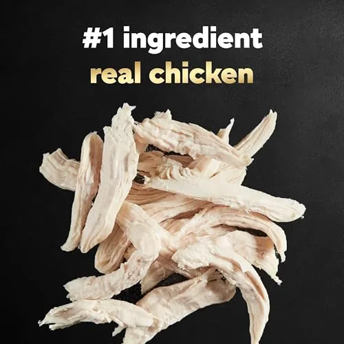 Cesar Wholesome Bowls Adult Wet Dog Food, Chicken, Carrots, Barley & Green Beans Recipe, 3 oz. Bowls, 10 Count (Pack of 1)