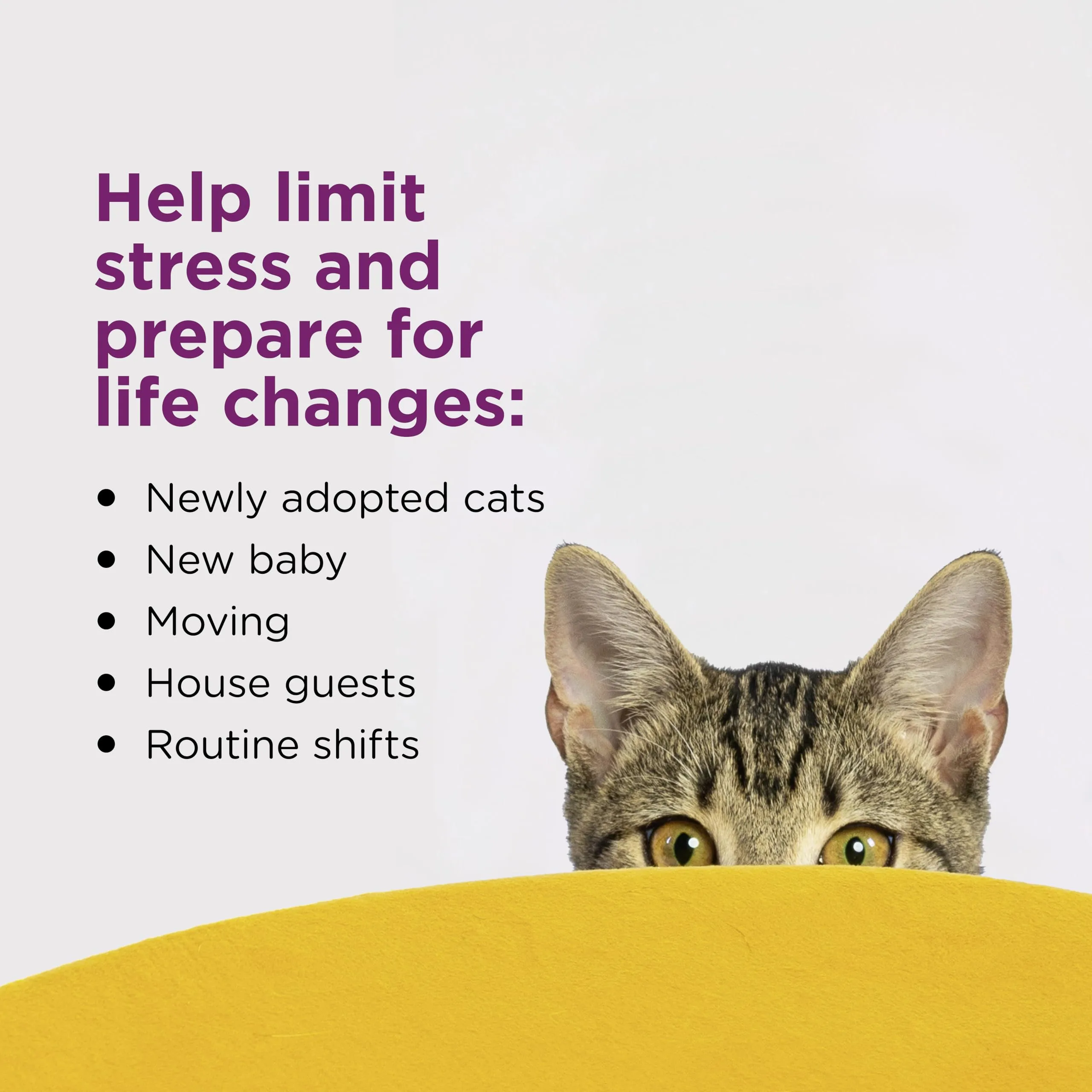 Close-up of the sealed foil safety seal under the refill bottle cap.