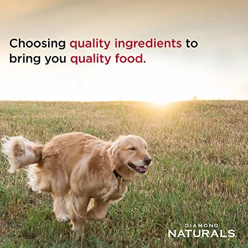 Diamond Naturals Senior Real Meat Recipe Natural Dry Dog Food With Real Cage Free Chicken, 35Lb