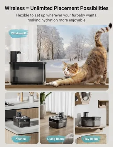 Diagram showing the 120-degree motion sensor range of the fountain.