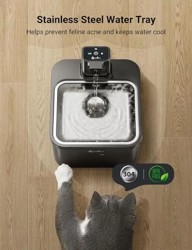 A cat drinking from the fountain as the motion-activated stream flows.
