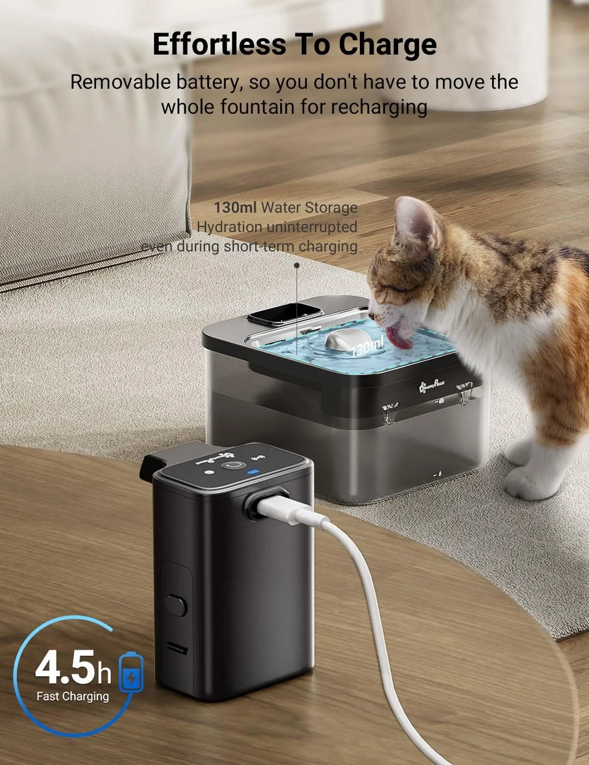 Side-by-side comparison of the fountain's size next to a standard coffee mug.