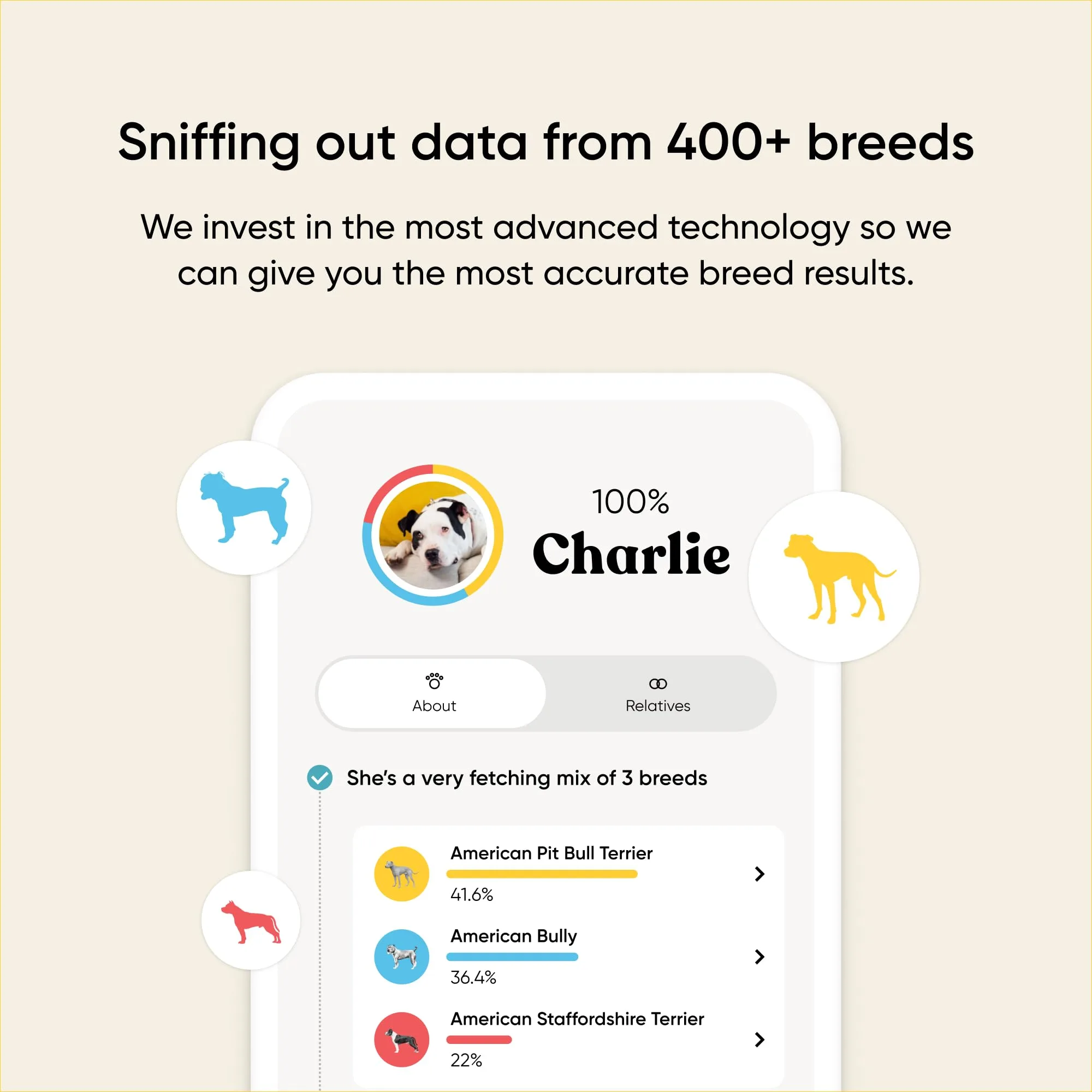 Embark Breed & Health Kit - Dog DNA Testing Kit - Discover Breed, Ancestry, Relative Finder, Genetic Health, Traits, Allergy Risk Scores