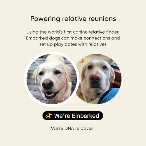 Embark Breed & Health Kit - Dog DNA Testing Kit - Discover Breed, Ancestry, Relative Finder, Genetic Health, Traits, Allergy Risk Scores