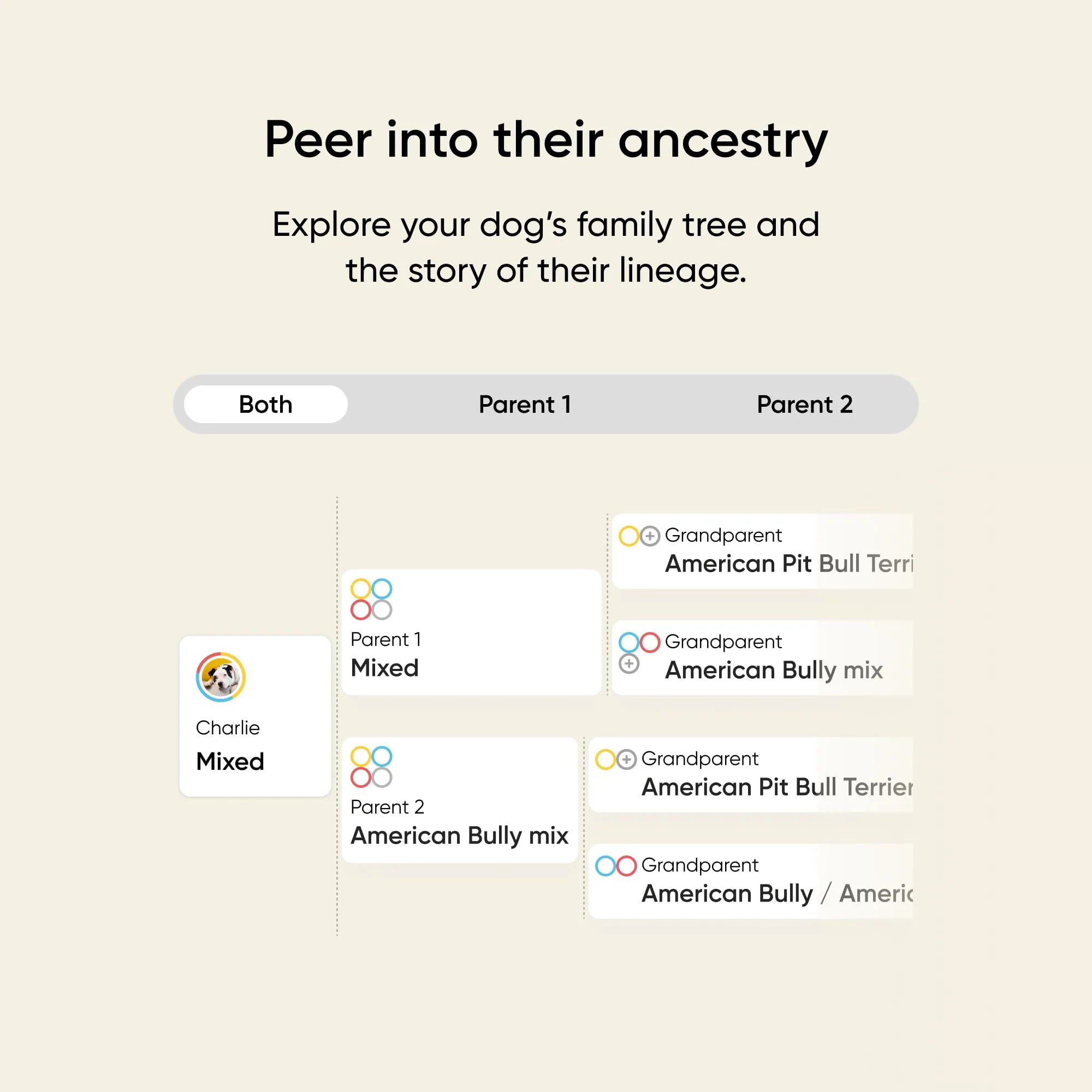 Embark Breed & Health Kit - Dog DNA Testing Kit - Discover Breed, Ancestry, Relative Finder, Genetic Health, Traits, Allergy Risk Scores