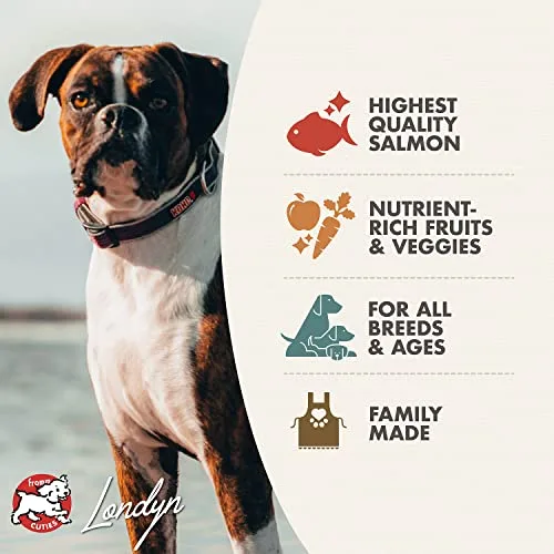 Fromm Four-Star Nutritionals Salmon A La Veg Dog Food - Premium Dry Dog Food - Salmon Recipe - 26 lb