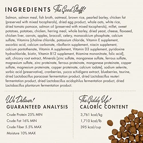 Fromm Four-Star Nutritionals Salmon A La Veg Dog Food - Premium Dry Dog Food - Salmon Recipe - 26 lb