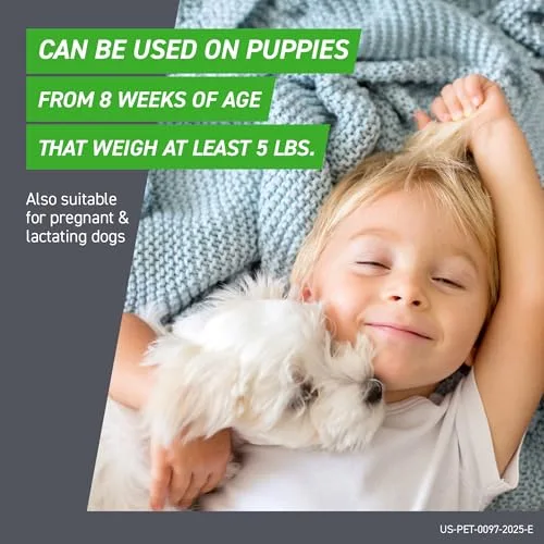 Hill's Science Diet Small Paws Dog