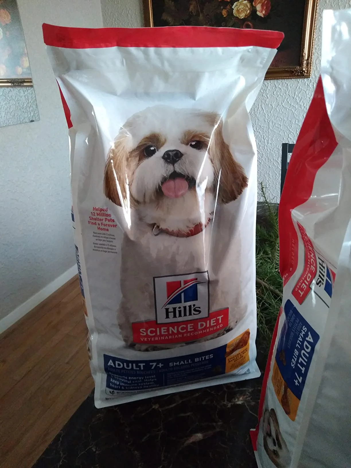 The Hill's Science Diet bag next to Charlie's full food bowl, ready for dinner