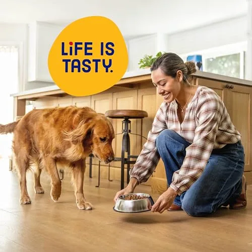 Kibbles 'n Bits Original Dry Dog Food, Savory Beef & Chicken Flavors for Adult Dogs, 45 lb. Bag