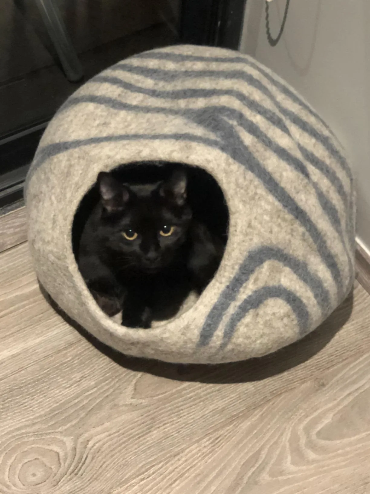 Extreme close-up of the dense, nubbly texture of the hand-felted merino wool