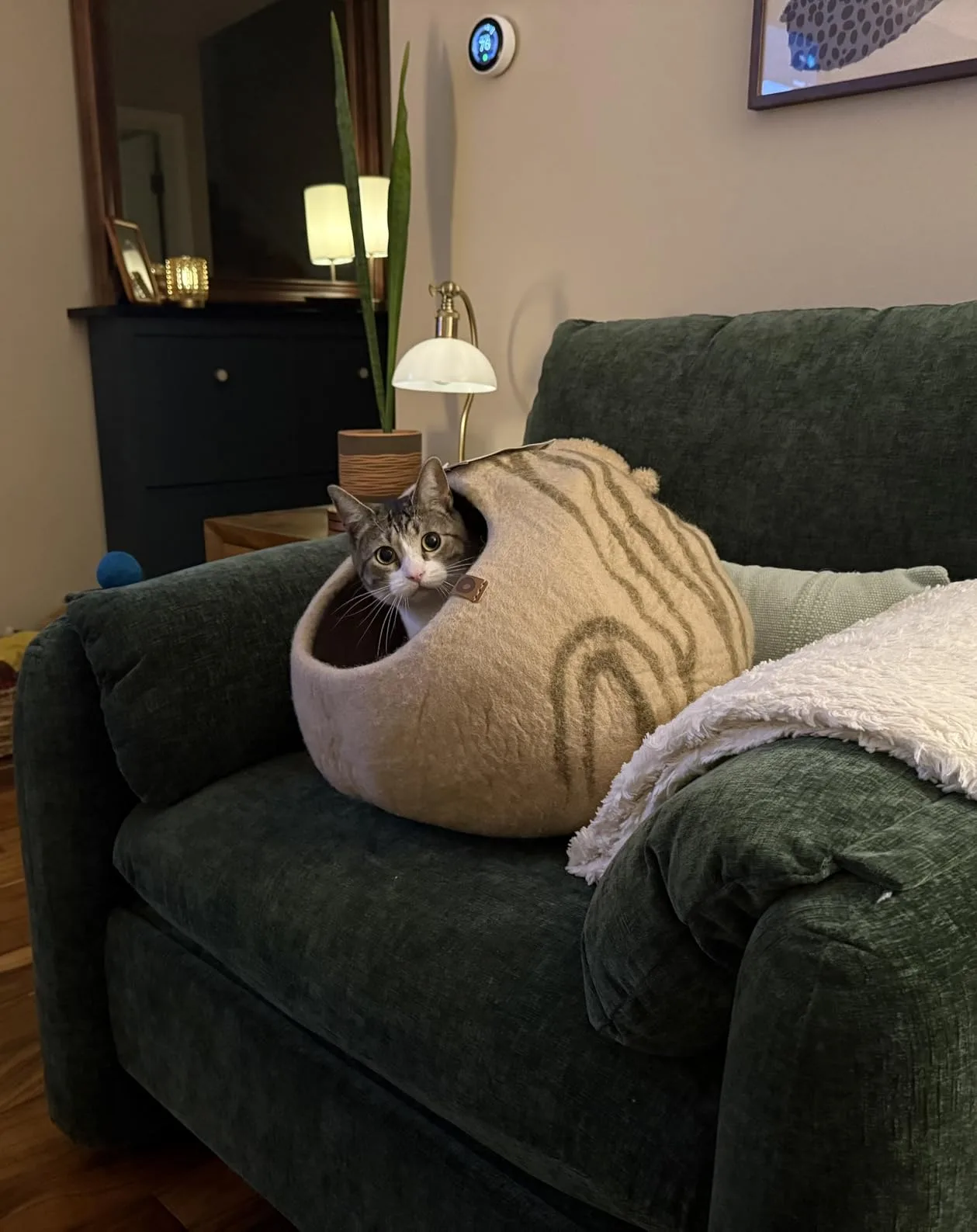 The same wool bed pressed flat into a plush, circular mat