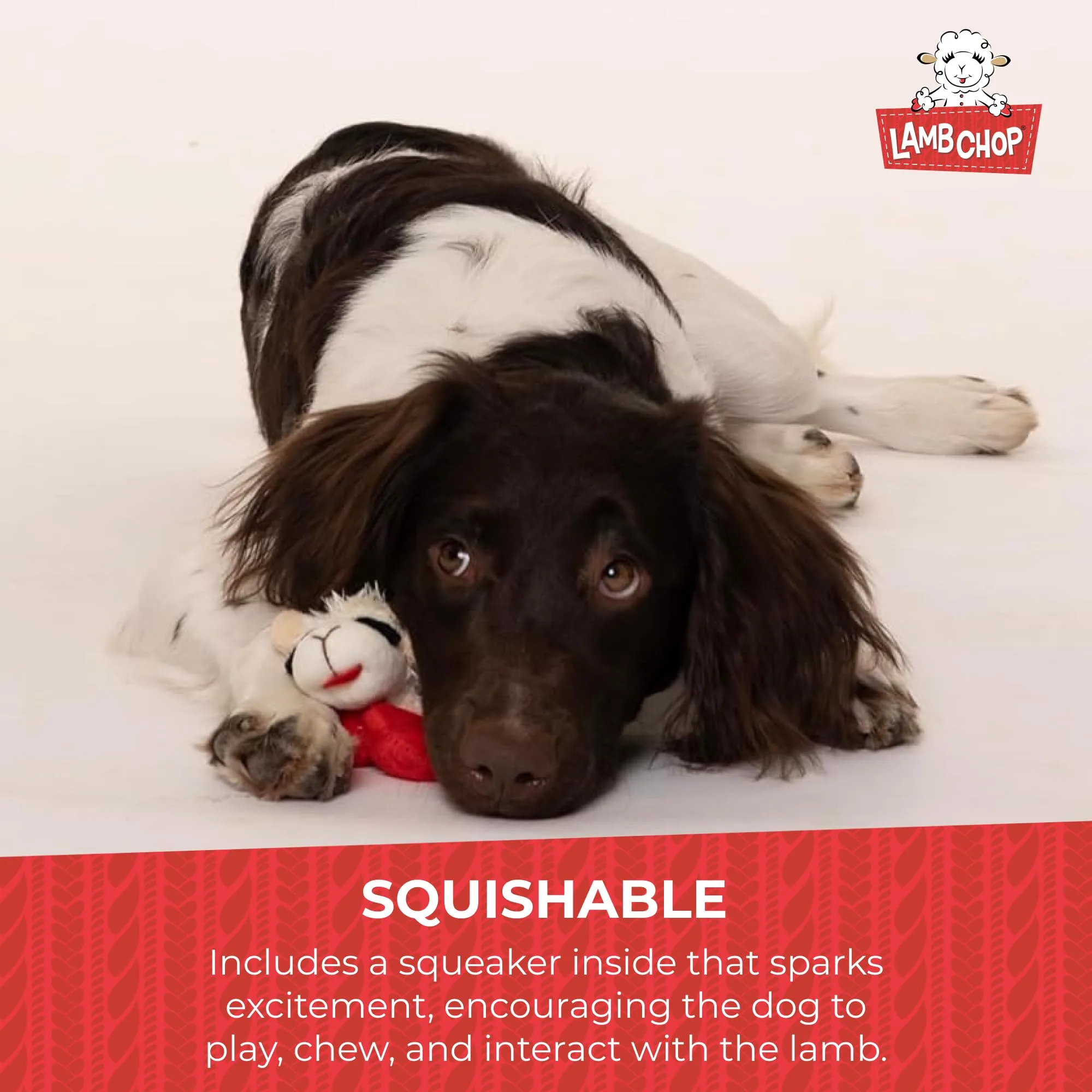 Multipet Lamb Chop Dog Plush Toy - Squeaky Toy for All Dogs - Extra Soft Plush - Stuffed Animal Dog Toy for Cuddling & Playing - Cute Pet Toy (6