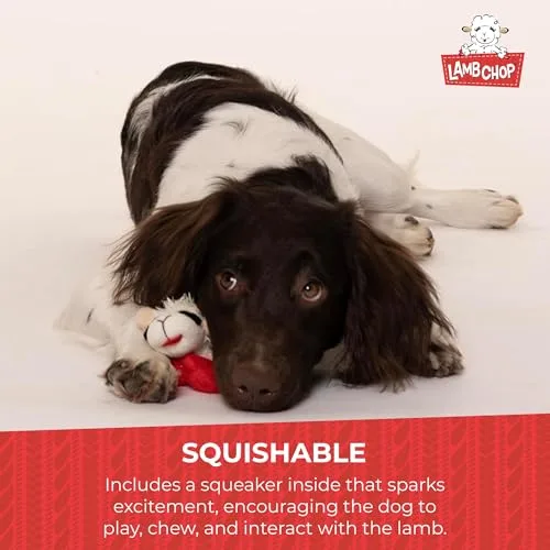 Multipet Lamb Chop Dog Plush Toy - Squeaky Toy for All Dogs - Extra Soft Plush - Stuffed Animal Dog Toy for Cuddling & Playing - Cute Pet Toy (6