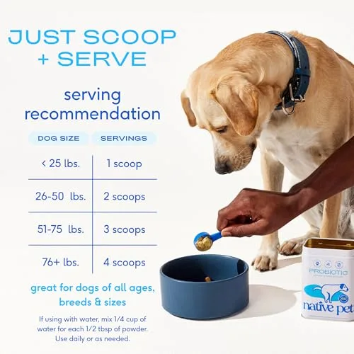 Native Pet Probiotics for Dogs - Dog Probiotics Powder for Digestive Health, Gut Support, & Immune Boost – Vet-Formulated Powder for Maximum Potency with Digestive Enzymes & Prebiotics - 30 Scoops