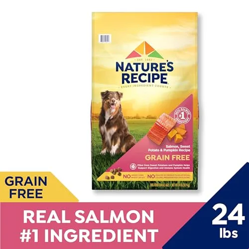Nature’s Recipe Grain Free Dry Dog Food Salmon, Sweet Potato & Pumpkin Recipe, 24 lb. Bag