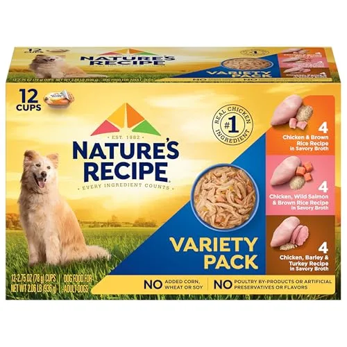 The blue and green Nature's Recipe variety pack box sitting on my cluttered kitchen counter, a dog leash nearby.