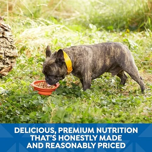 The three different flavor cups from the pack lined up side-by-side on a wooden table.