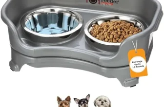 Neater Feeder Express Review: No More Wet Socks?