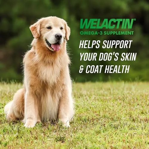 Nutramax Welactin Omega 3 Fish Oil for Dogs, Skin and Coat Health Supplement, Plus Joint, Immune, Kidney, and Brain Support, Premium Omega 3 Fatty Acids, For Dogs, 16 Ounce Liquid