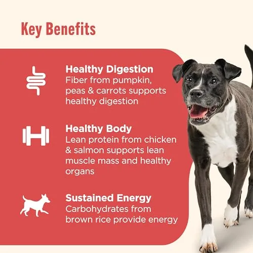 Nutrish Gentle Digestion Premium Paté Wet Dog Food, Real Chicken, Pumpkin & Salmon Recipe, 13 oz. Can, 12 Count (Rachael Ray)