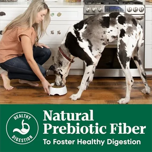 Nutro Natural Choice Chicken & Brown Rice Adult Dry Dog Food Recipe, 30 lb. Bag