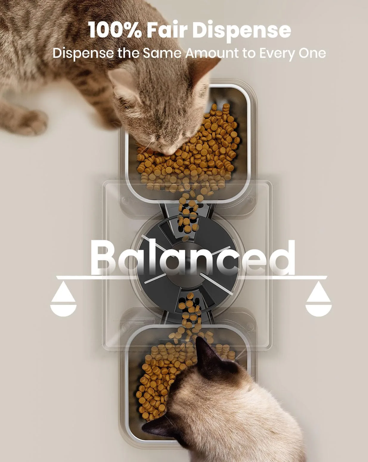 Close-up of the feeder's control panel showing the simple dial interface and LCD screen with meal countdown.