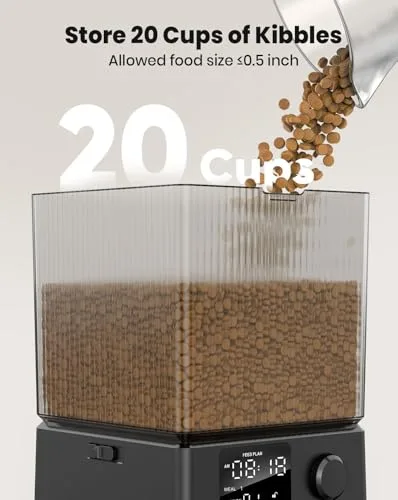 Two cats eating peacefully from their respective bowls. The food-obsessed tabby is focused on his bowl while the smaller cat eats from hers without tension.