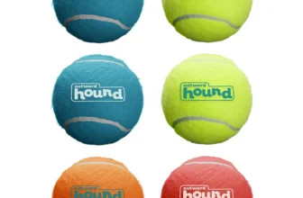 Outward Hound Squeaker Ballz Review: Best Small Dog Fetch Toy?