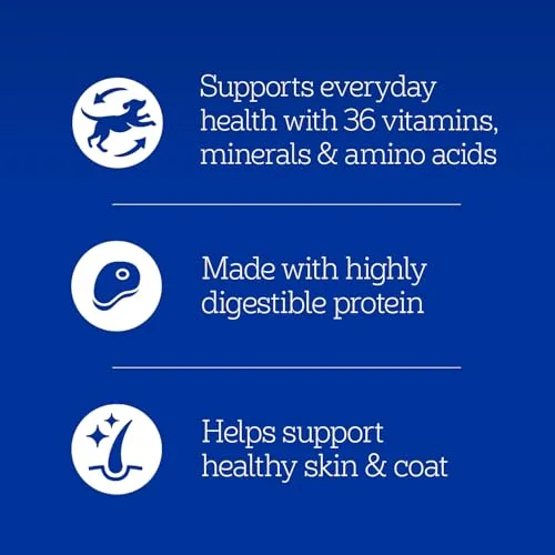 Pedigree Choice Cuts In Gravy Adult Canned Soft Wet Dog Food With Beef, 22 oz. Cans (12 Count, Pack of 1)