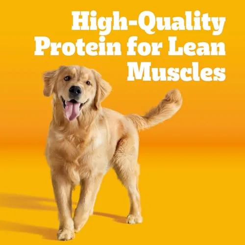 Pedigree Complete Nutrition Adult Dry Dog Food, Grilled Steak & Vegetable Flavor, 30 lb. Bag