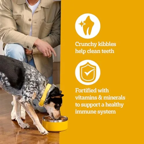 Pedigree Adult Small Dog Dry Dog Food, Roasted Chicken and Vegetable Flavor, 14 lb. Bag