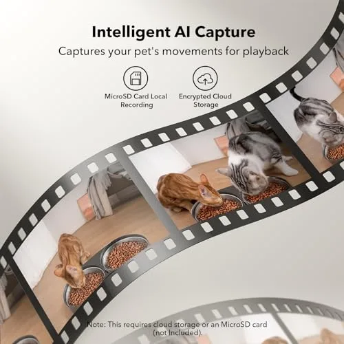 Top-down view showing the transparent 5L food hopper and the adjustable meal splitter.