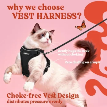 Rabbitgoo Cat Harness Review: Truly Escape-Proof?
