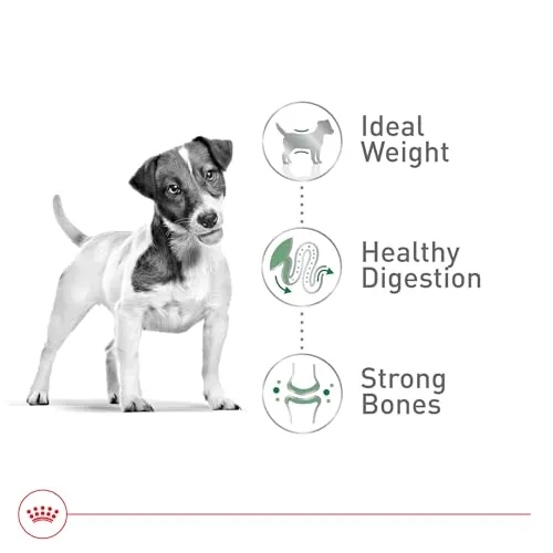 Royal Canin Size Health Nutrition Small Adult Dry Dog Food, 14 lb Bag