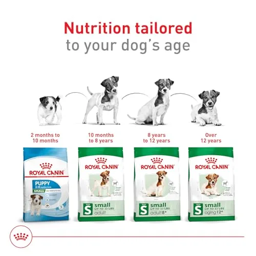 Royal Canin Size Health Nutrition Small Adult Dry Dog Food, 14 lb Bag