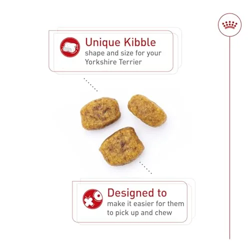 Royal Canin Breed Health Nutrition Yorkshire Terrier Adult Dry Dog Food, 10 lb Bag