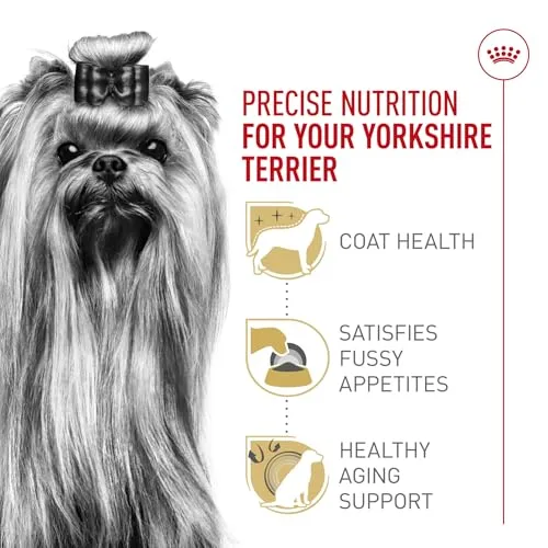 Royal Canin Breed Health Nutrition Yorkshire Terrier Adult Dry Dog Food, 10 lb Bag