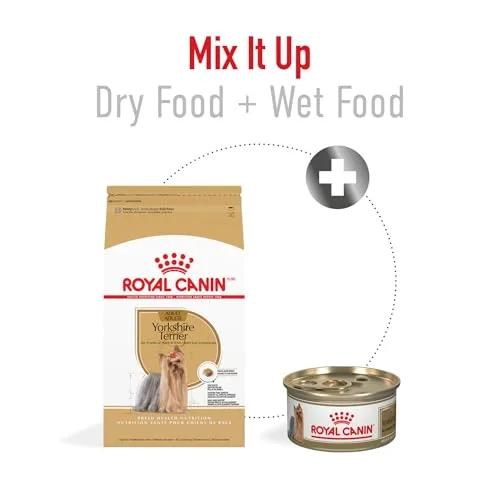 Royal Canin Breed Health Nutrition Yorkshire Terrier Adult Dry Dog Food, 10 lb Bag