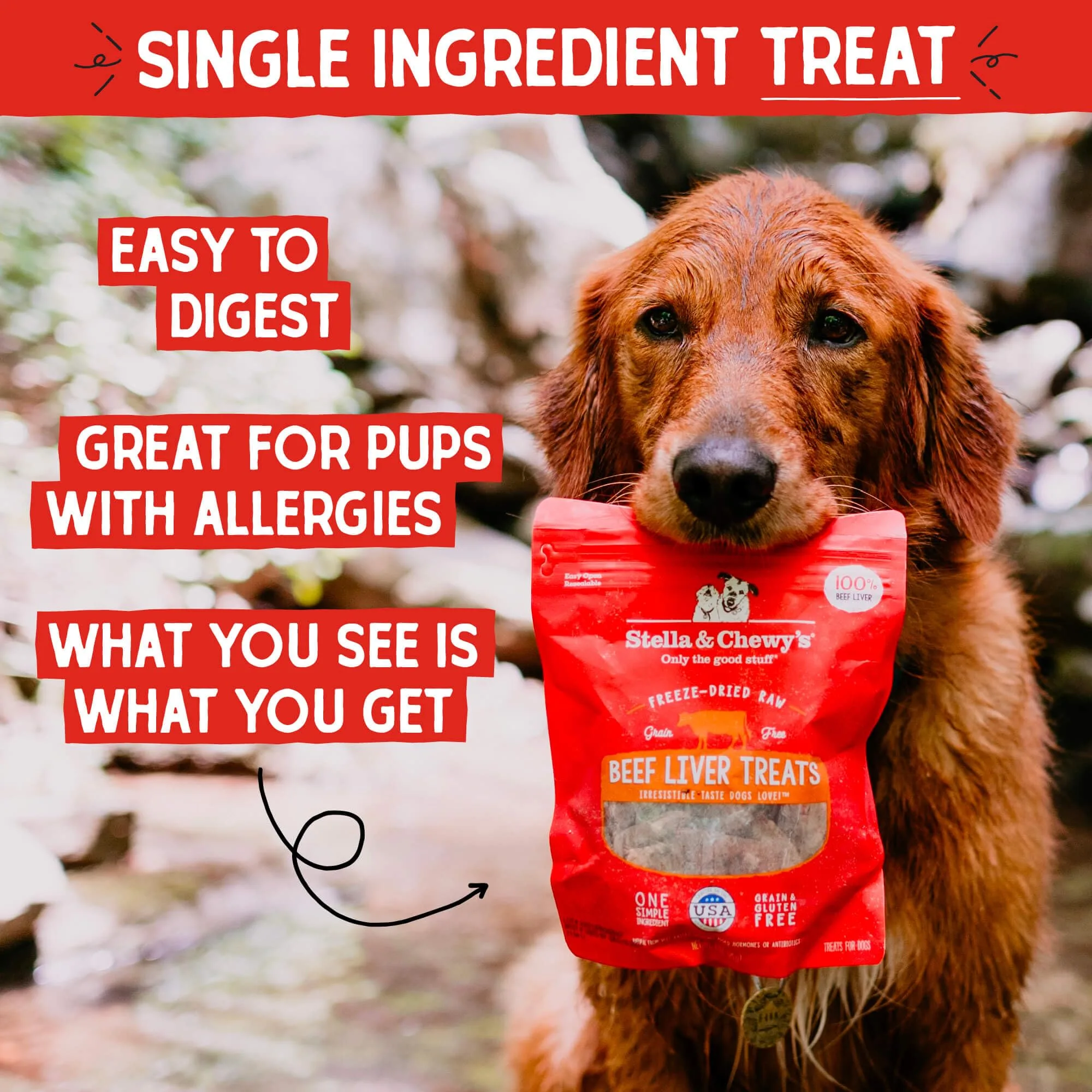 Stella & Chewy's Freeze-Dried Raw Beef Liver Dog Treats - Single Ingredient, No Additives - Premium Training Treats - Perfect For Picky Eaters - 3oz Bag