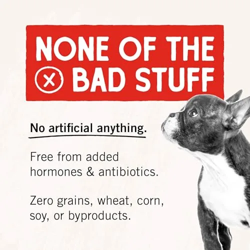 Stella & Chewy's Freeze-Dried Raw Beef Liver Dog Treats - Single Ingredient, No Additives - Premium Training Treats - Perfect For Picky Eaters - 3oz Bag