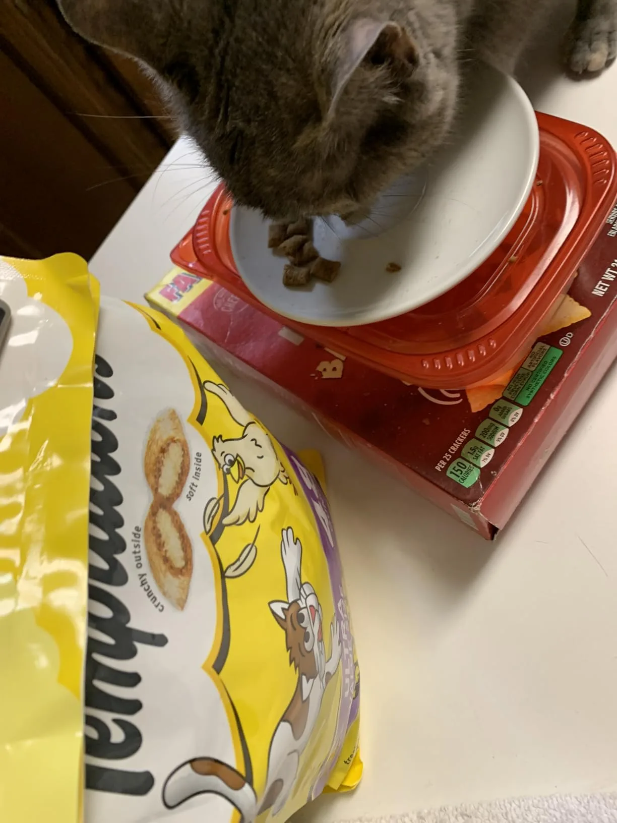 The nearly-empty Temptations tub next to a content, napping cat